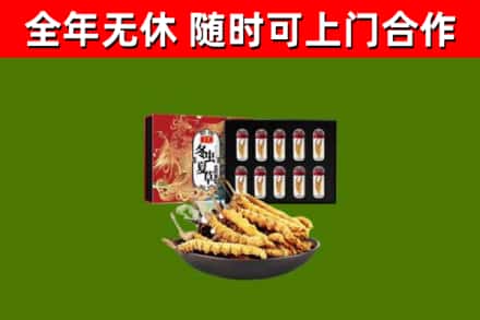 龙文区回收冬虫夏草价格