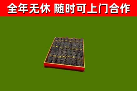 龙文区回收海参